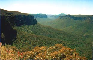 Govett's Leap view